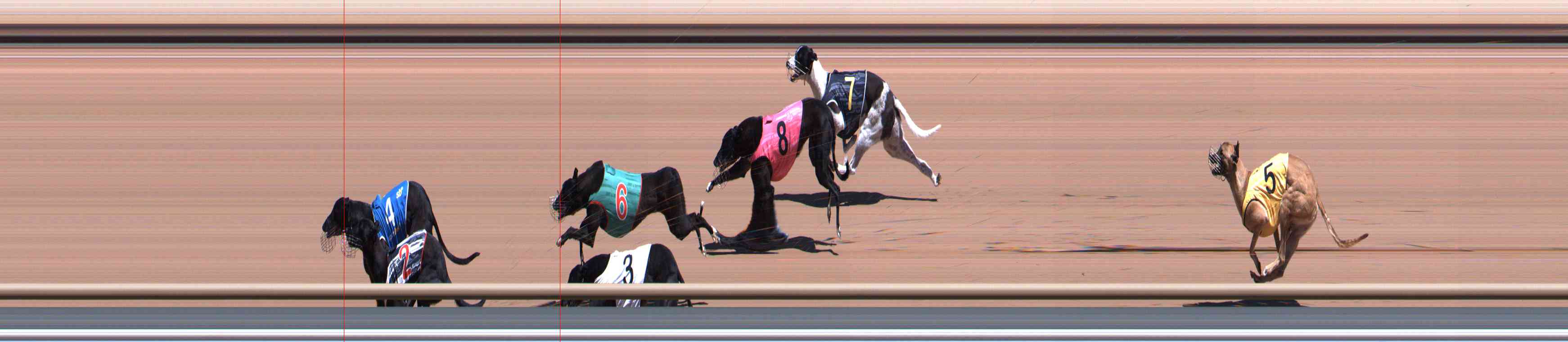 Race result finish photo